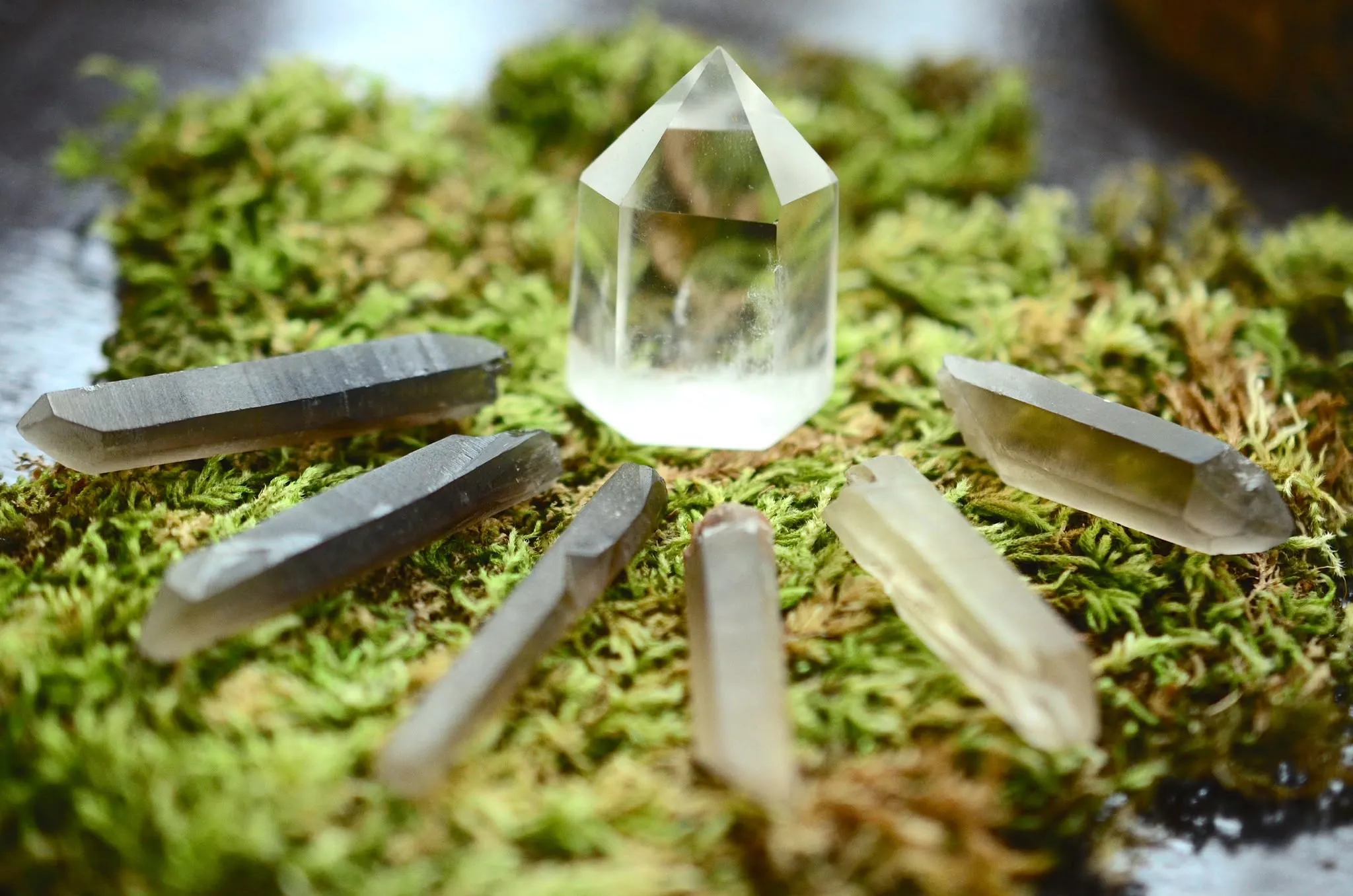 Clear quartz crystal grid laid out on moss